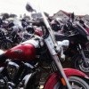 Ponad 1500 motocyklistów wzięło udział w I Zlocie Motocykli w Nowym Stawie