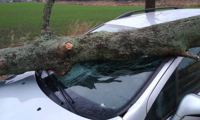 Stanisławowo: Drzewo uszkodziło auto. Niebezpieczne skutki wichury.