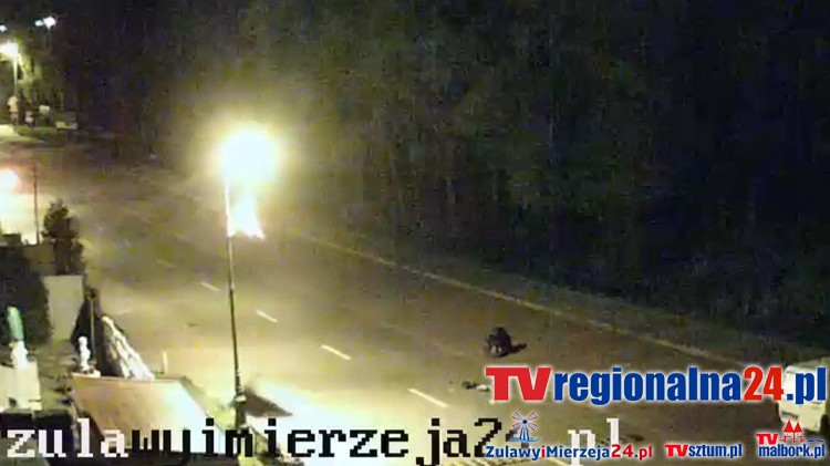 Piaski – Krynica Morska: Dziki demolują ulice i podwórka, atakują psy, kradną jedzenie z reklamówek turystów i mieszkańców. Zobacz nagranie wideo nocnych harców - 02.05.2016