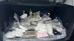 Duży przemyt narkotyków - policjanci kryminalni z Elbląga zatrzymali&#8230;